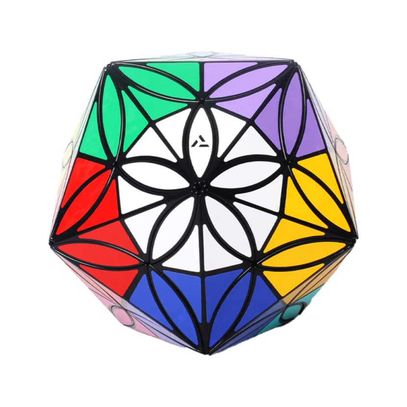 Aj 12 Colors Clover Icosahedron - Black image 2