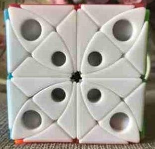 Morpho helenor octavia image 5