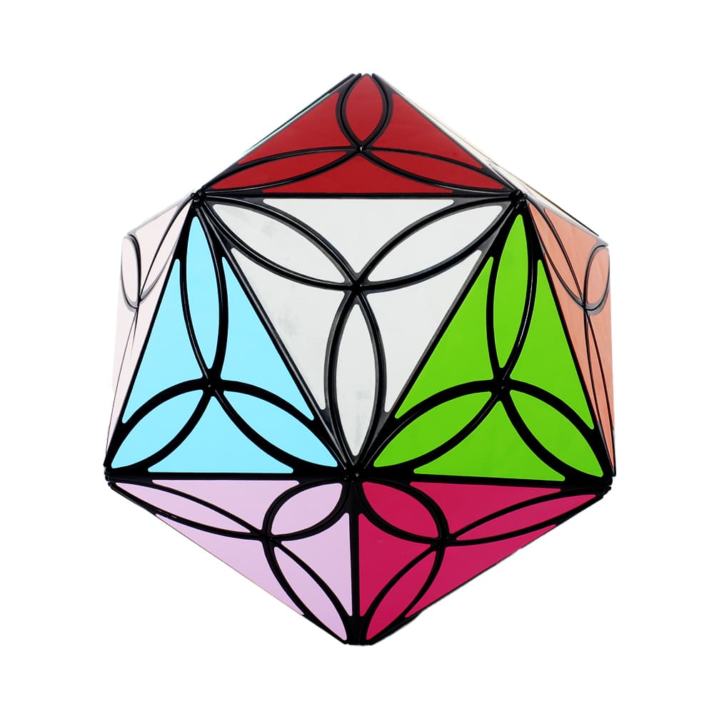Aj 20 Colors Clover Icosahedron - Black image 2