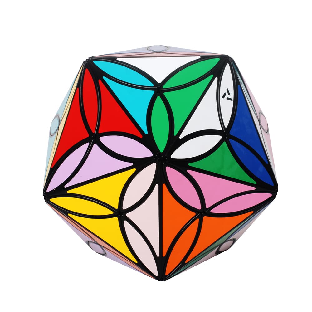 Aj 20 Colors Clover Icosahedron - Black image 3
