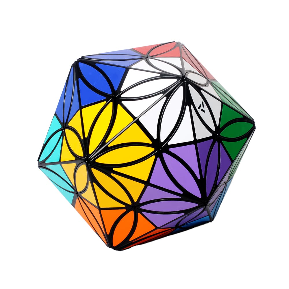 Aj 12 Colors Clover Icosahedron - Black image 3