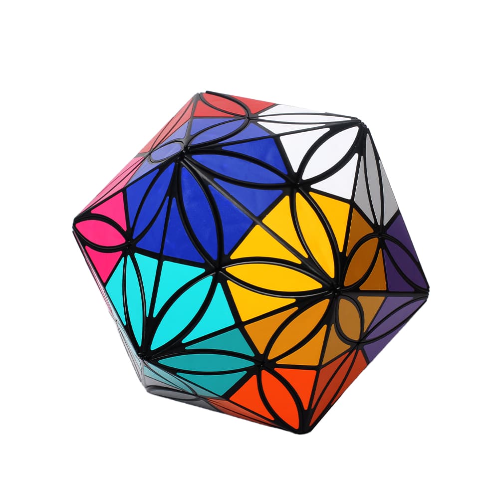 Aj 12 Colors Clover Icosahedron - Black image 4