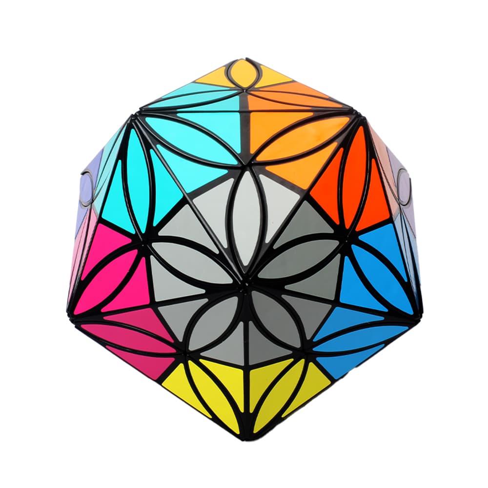 Aj 12 Colors Clover Icosahedron - Black image 5