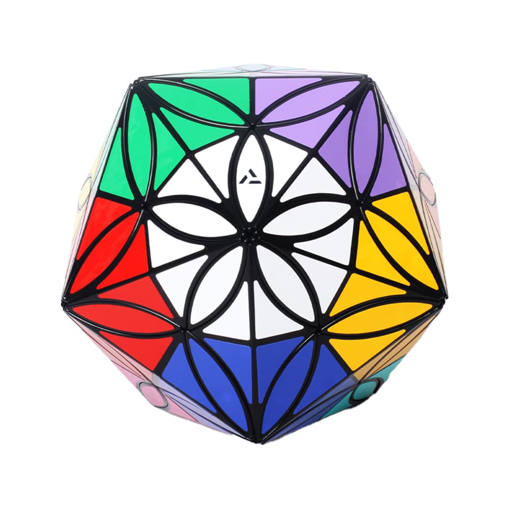 Aj 12 Colors Clover Icosahedron - Black image 2