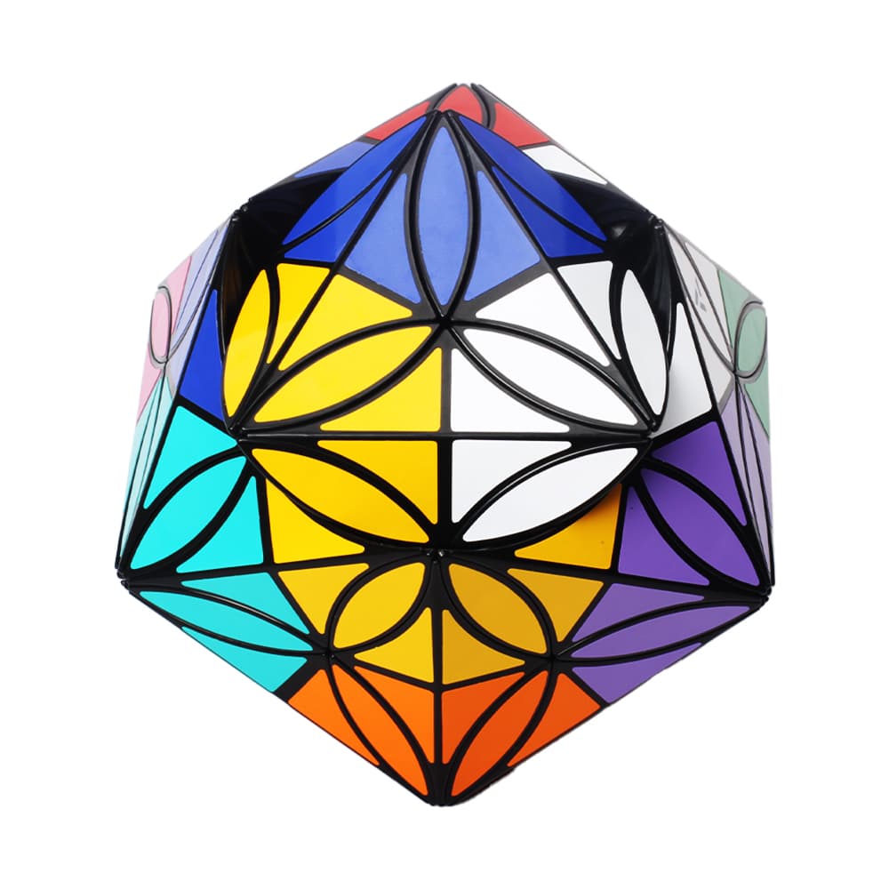 Aj 12 Colors Clover Icosahedron - Black image 6