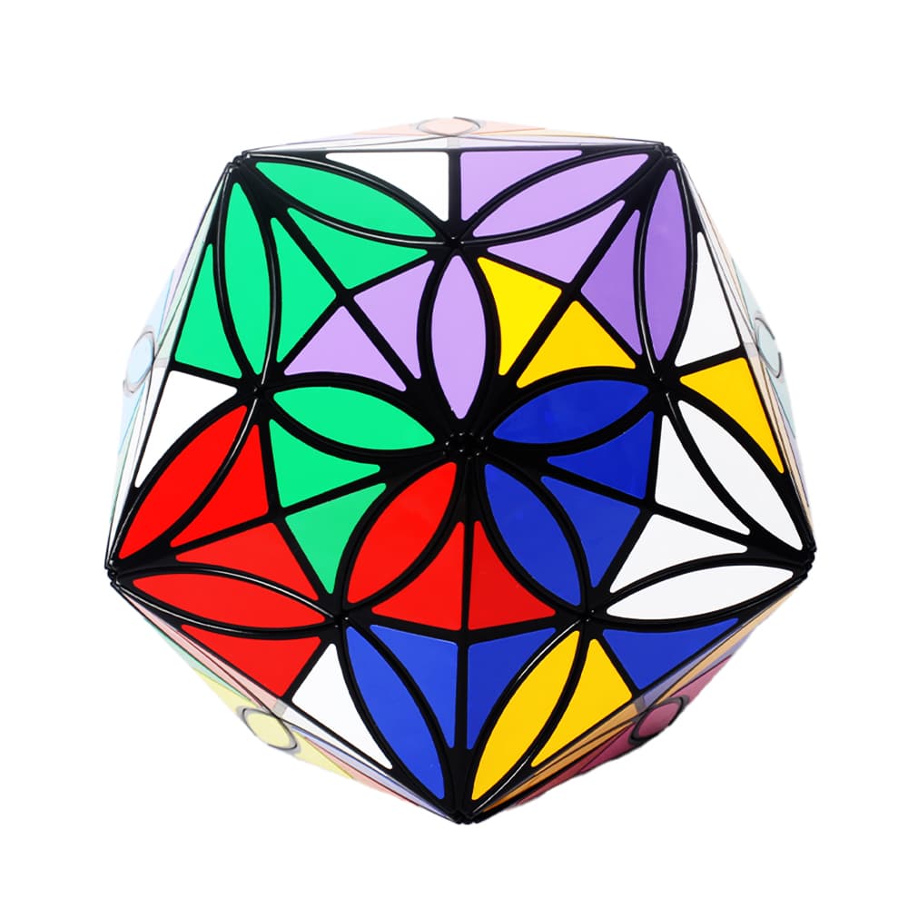 Aj 12 Colors Clover Icosahedron - Black image 8