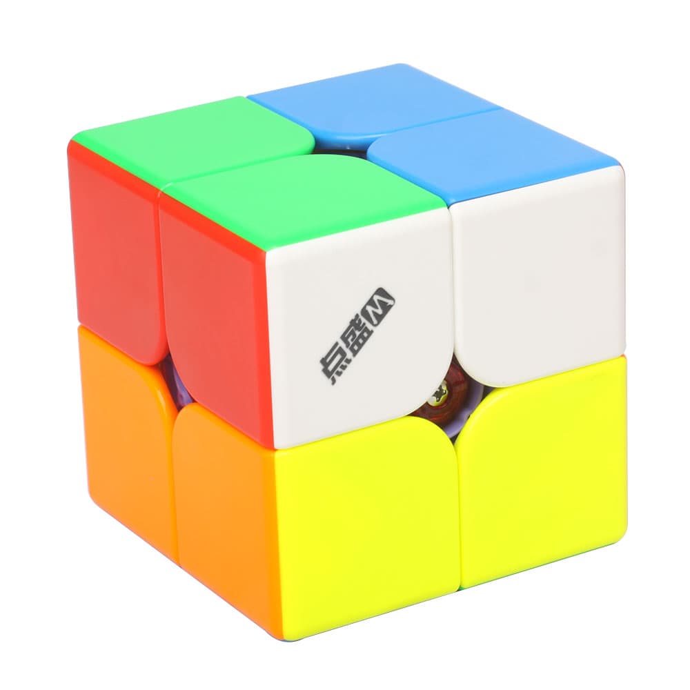 DianSheng 9CM Googol Magnetic 2x2 - Stickerless image 4