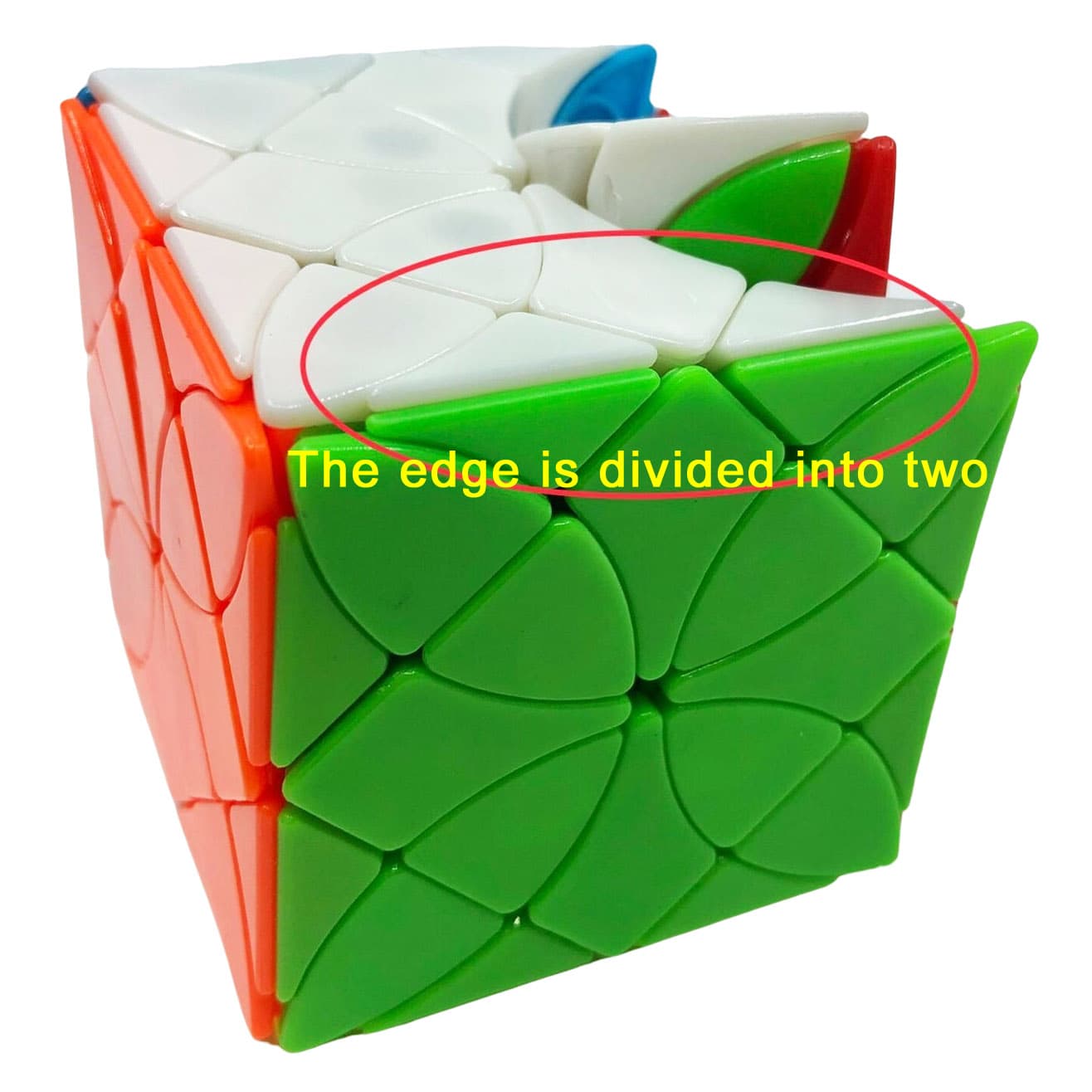 FangShi Morpho Helena image 4