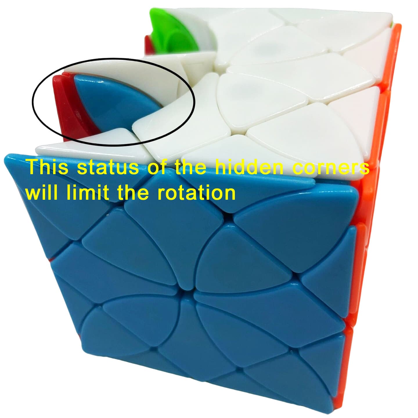 FangShi Morpho Helena image 5