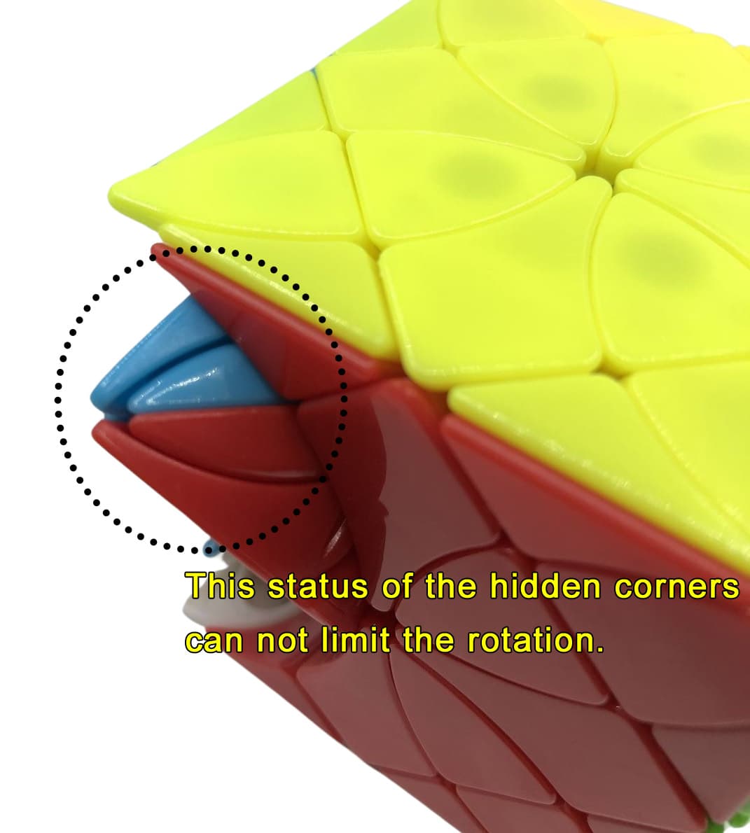 FangShi Morpho Helena image 6