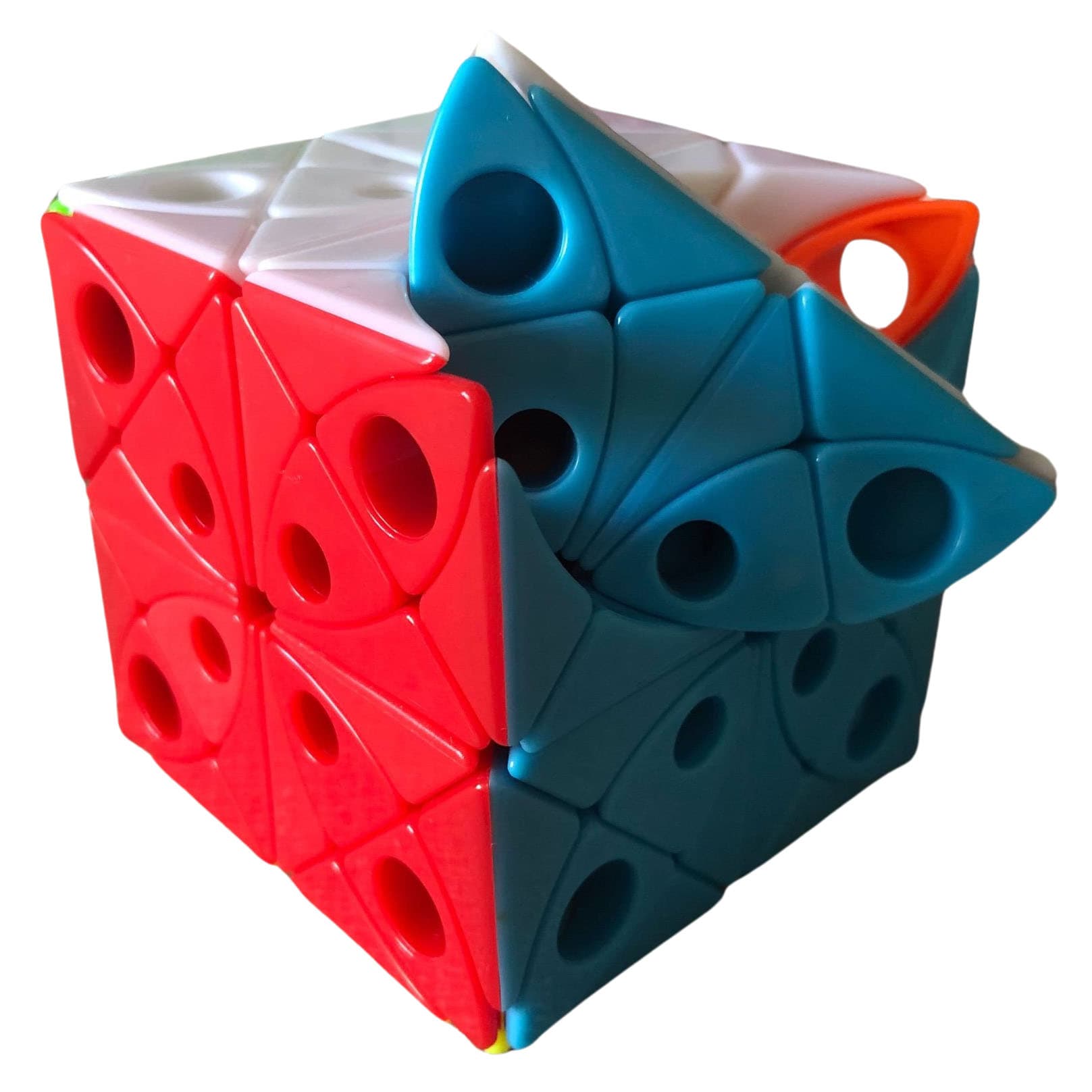 Morpho helenor octavia image 6