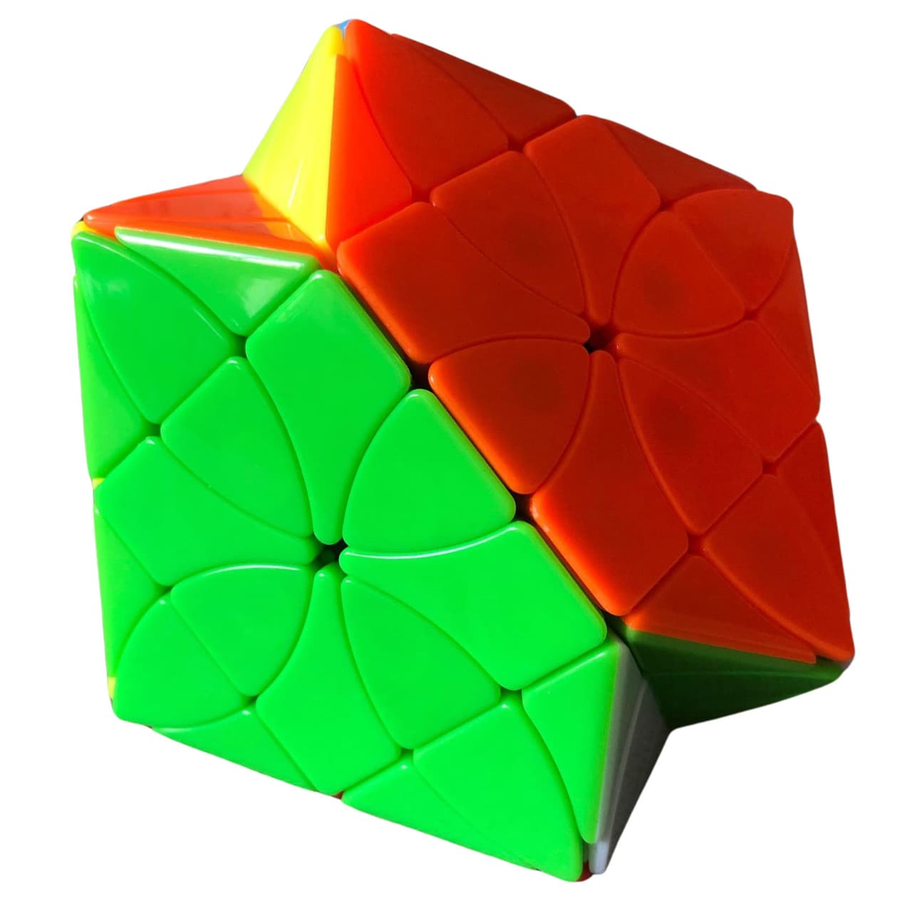 Morpho deidamia image 4