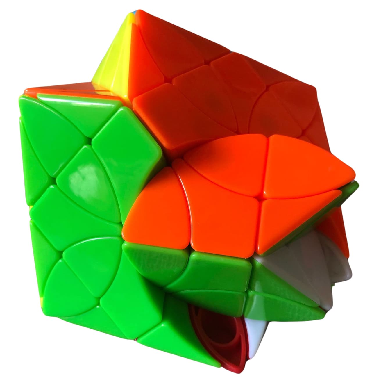 Morpho deidamia image 5