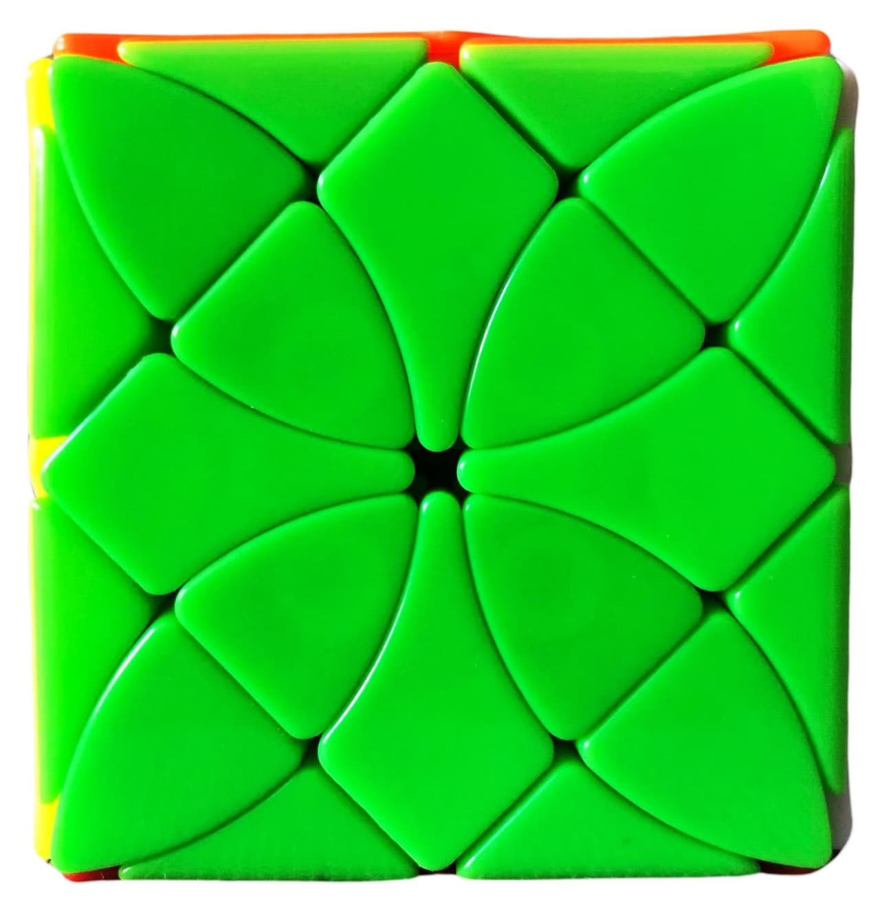 Morpho deidamia image 1