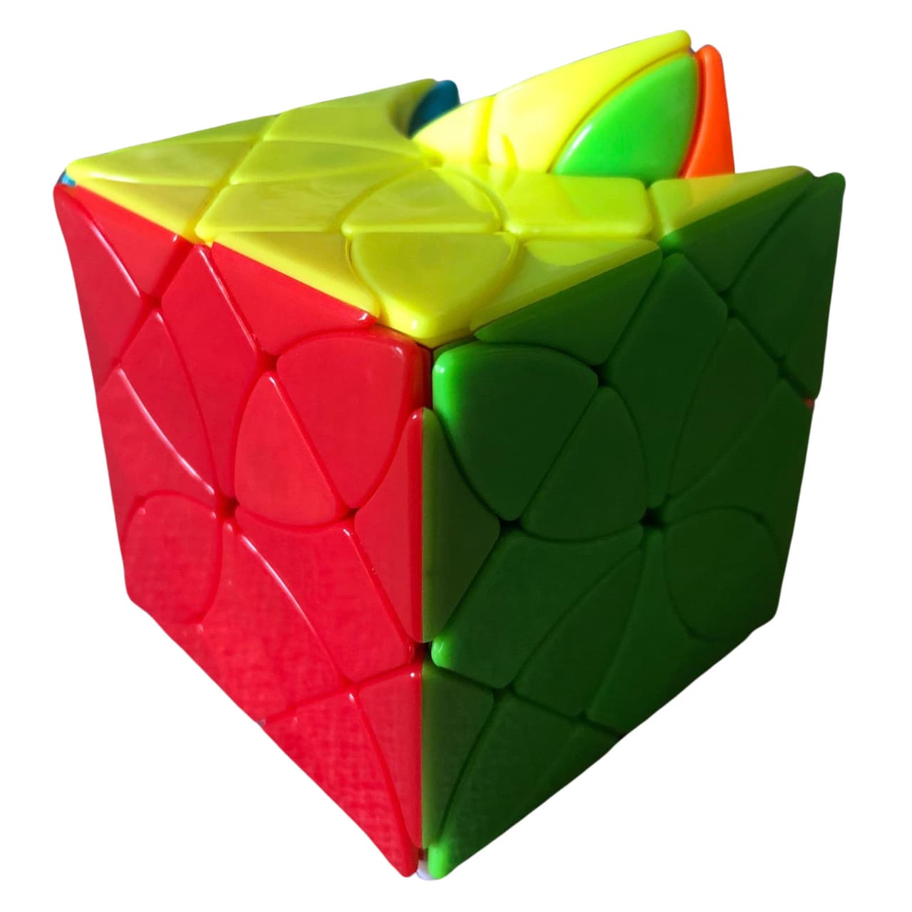 Morpho deidamia image 3