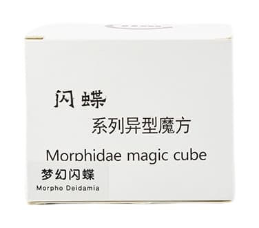 Morpho deidamia image 2