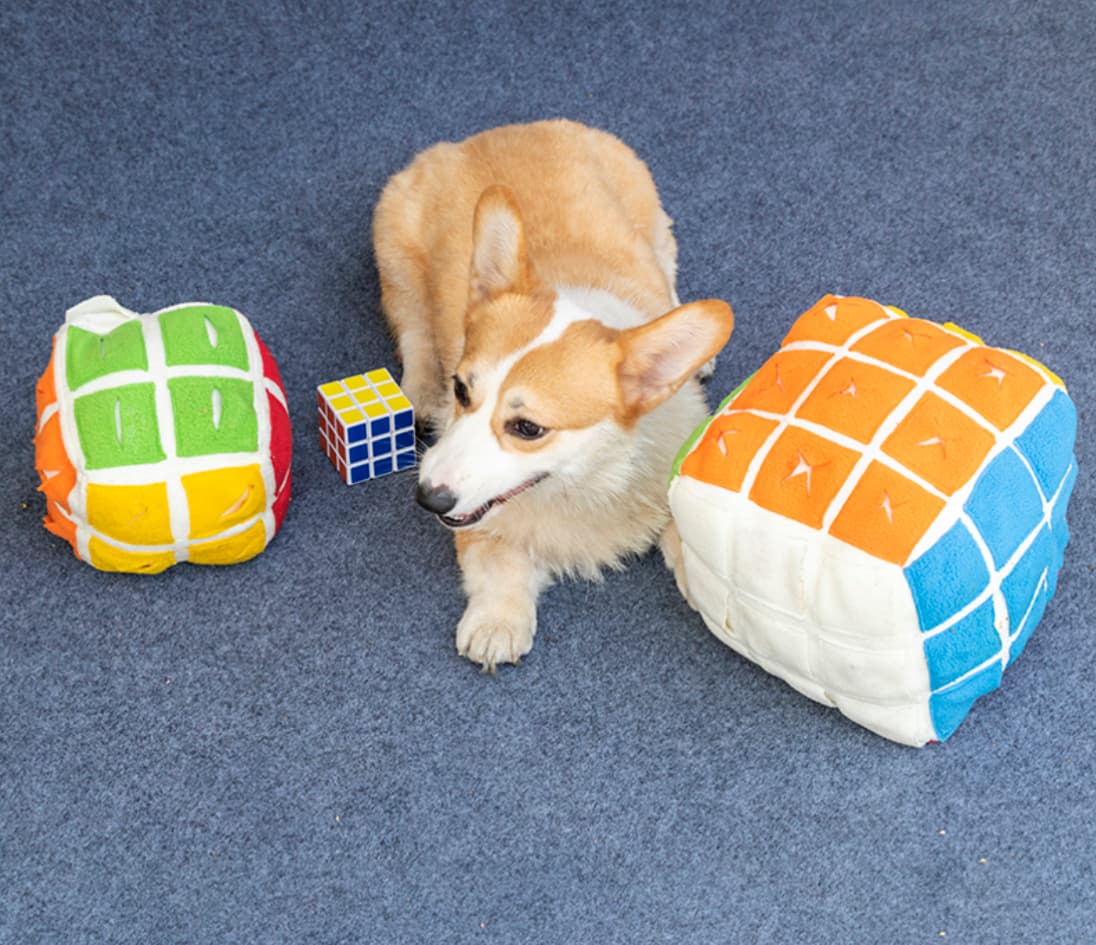 Snuffle Toy for Dog 2x2 - 15cm image 2