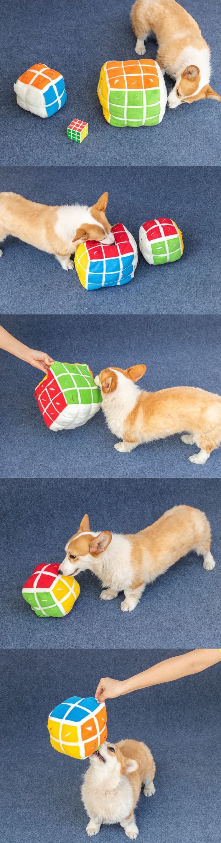 Snuffle Toy for Dog 2x2 - 15cm image 4