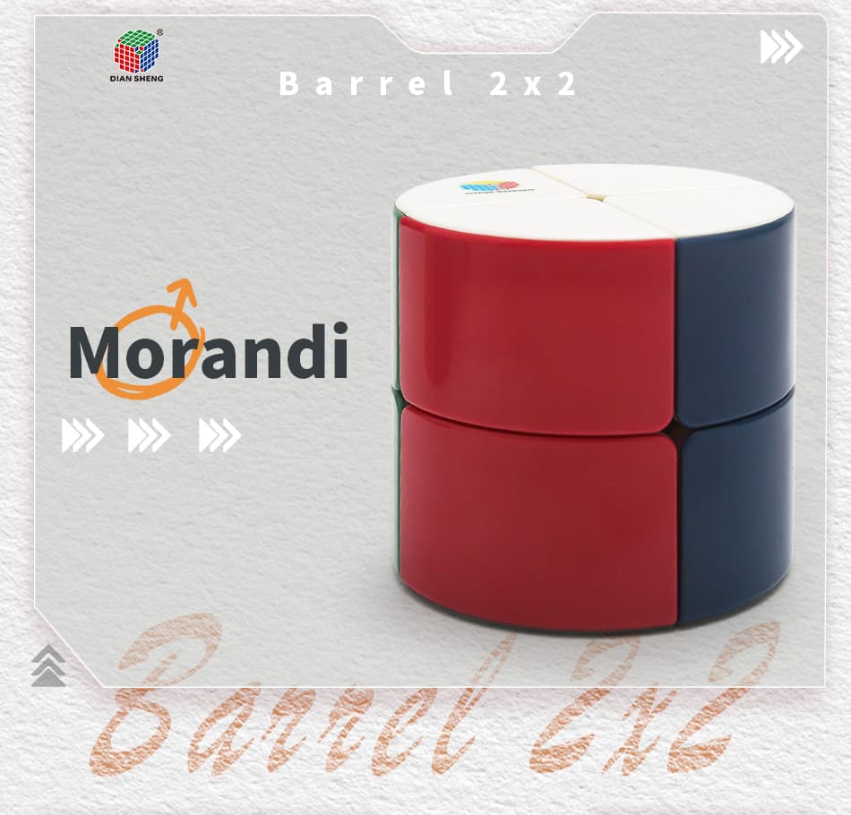 Diansheng Barrel 2x2 - Stickerless image 20